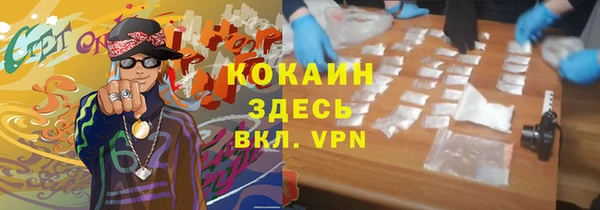 сатива Горно-Алтайск