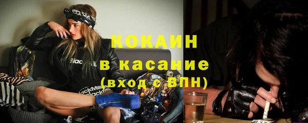 ешки Гусев