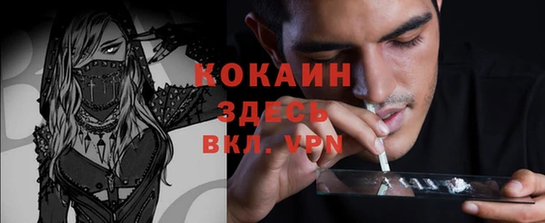ешки Гусев