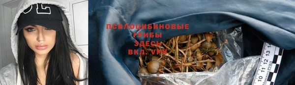 ешки Гусев