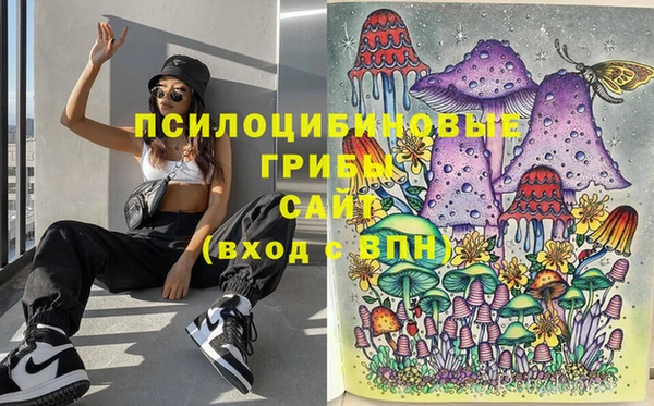 COCAINE Гусиноозёрск