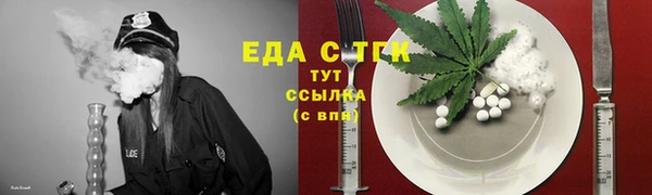 СК Гусь-Хрустальный