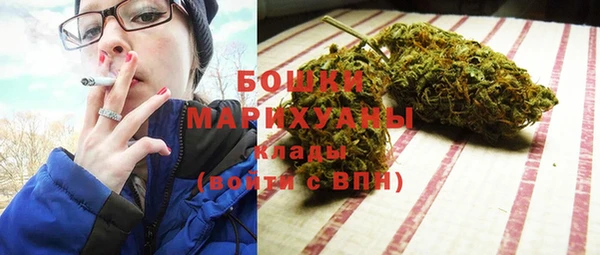 СК Гусь-Хрустальный