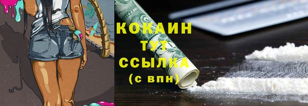 ешки Гусев