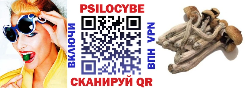 Псилоцибиновые грибы мухоморы Приволжский
